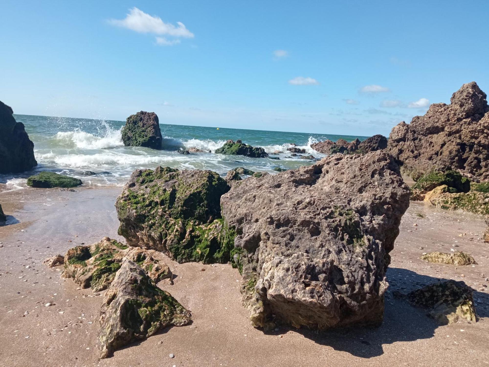 Appartement 45M2 - Proche Deauville - Vue Mer Bénerville-sur-Mer エクステリア 写真